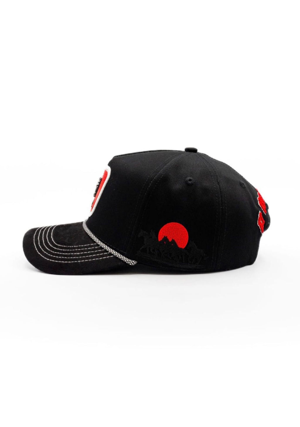 Frizian Black